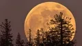 The Cold Supermoon of December 4, 2025: A Celestial Spectacle