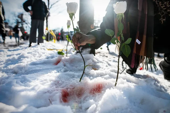 Lethal Force by ICE Agents: A Systematic Analysis of Shooting Investigations and Legal Impediments